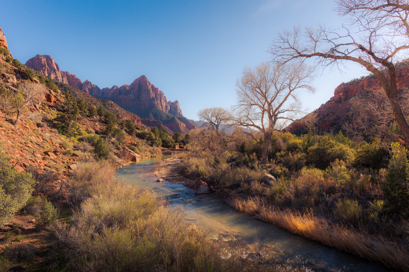 Watchman at Zion